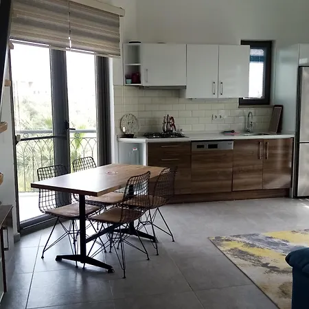 Zeytinevleri アパート ダッチャ