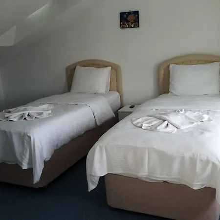 Zeytinevleri * داتْشا