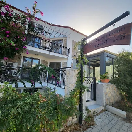 公寓 Zeytinevleri